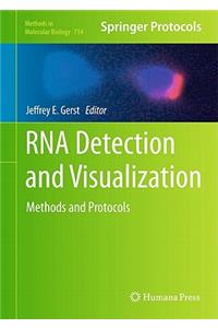 RNA Detection and Visualization