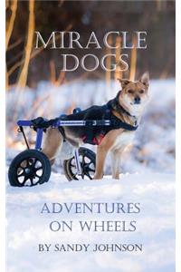 Miracle Dogs