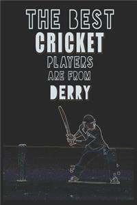 The Best Cricket Players are from Derry journal