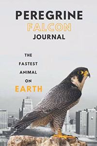 Peregrine falcon journal &Notebook 6