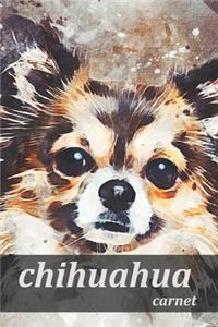 chihuahua carnet