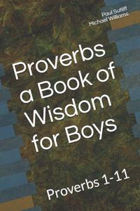 Proverbs a Book of Wisdom for Boys
