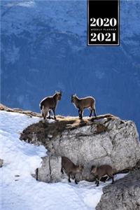 Goat Farmer Farming Herder Goatherd Week Planner Weekly Organizer Calendar 2020 / 2021 - Rock View