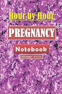 Hour by Hour Pregnancy Notebook 300 pages and 6 x 9 inch