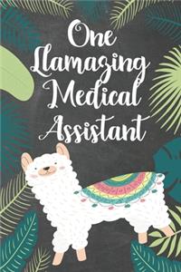 One llamazing Medical Assistant