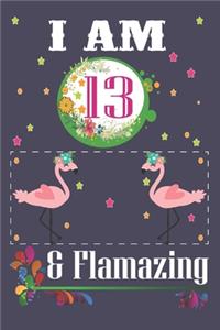 I'm 13 & Flamazing
