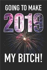 Going to Make 2019 My Bitch!