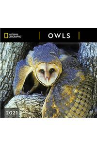 Cal 2021- National Geographic Owls Wall