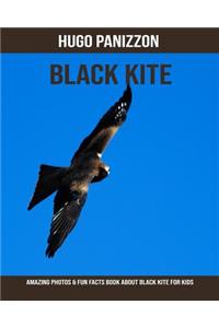 Black Kite: Amazing Photos & Fun Facts Book about Black Kite for Kids