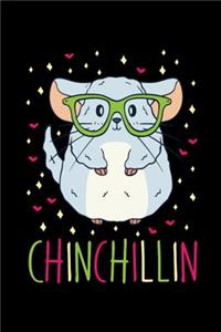 Chinchillin