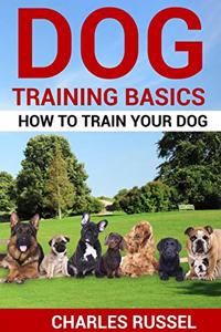 Dog Training Basics