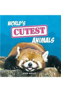 World's Cutest Animals