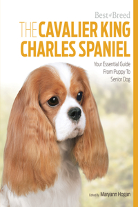 Cavalier King Charles