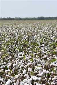 Alabama Cotton Field Journal