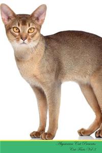 Abyssinian Cat Presents