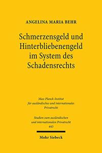 Schmerzensgeld Und Hinterbliebenengeld Im System Des Schadensrechts