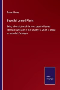 Beautiful Leaved Plants