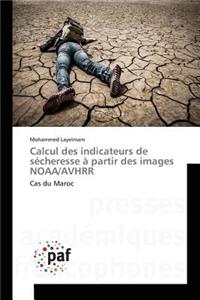 Calcul Des Indicateurs de Sécheresse À Partir Des Images Noaa/Avhrr