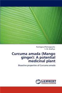 Curcuma amada (Mango ginger)