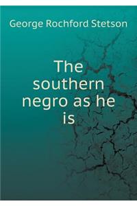 The Southern Negro as He Is