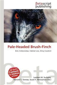 Pale-Headed Brush-Finch