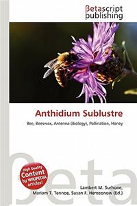 Anthidium Sublustre