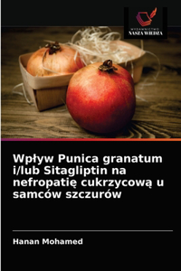 Wplyw Punica granatum i/lub Sitagliptin na nefropatię cukrzycową u samców szczurów