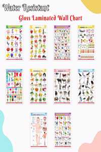 Fun Educational Chart Collection for Kids : Alphabet, Fruits, Vegetables, Animals Birds, and More â€“English-Hindi Gloss Laminated (Pack of 10), Toddler learning set, Preschool educational charts