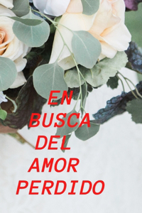 En busca del amor perdido