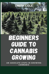 Beginners Guide to Cannabis Growing