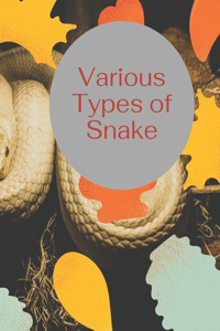 Various Types Of Snake
