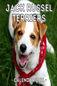 Jack Russel Terriers