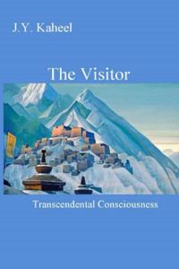 Visitor
