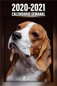 2020-2021 Calendario Semanal Beagle