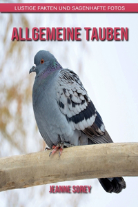 Allgemeine Tauben