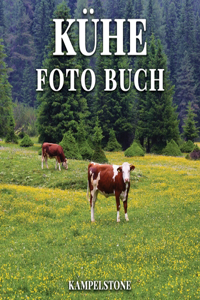 Kühe Foto Buch