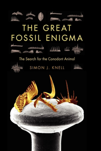 The Great Fossil Enigma