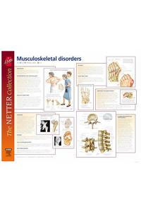 Frank H. Netter Musculoskeletal Disorders Poster