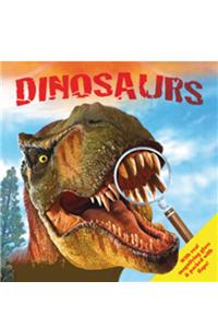 Dinosaurs Octagonal Box Set