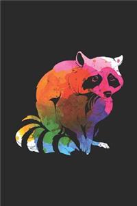Racoon Color Splash