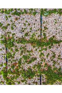 Moss Growth Roof Shingles School Composition Book