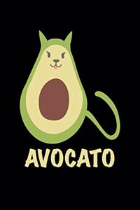 Avocato
