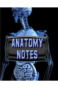 Anatomy Notes