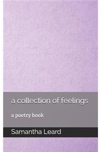 collection of feelings