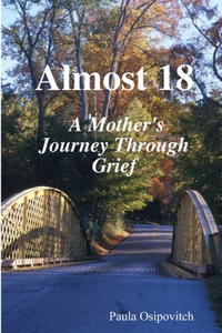 Almost 18 A Mother's Journey Through Grief