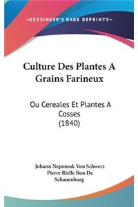 Culture Des Plantes a Grains Farineux