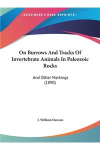 On Burrows and Tracks of Invertebrate Animals in Paleozoic Rocks