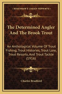 The Determined Angler And The Brook Trout