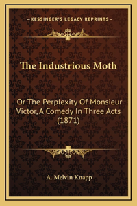 The Industrious Moth