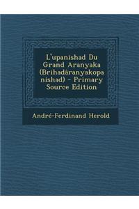L'Upanishad Du Grand Aranyaka (Brihadaranyakopanishad) - Primary Source Edition